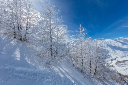 La Foux-d'Allos