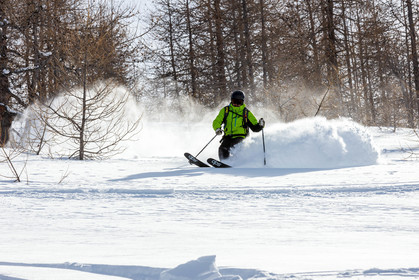 Freeride