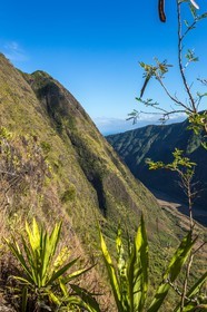 Ile de La Réunion