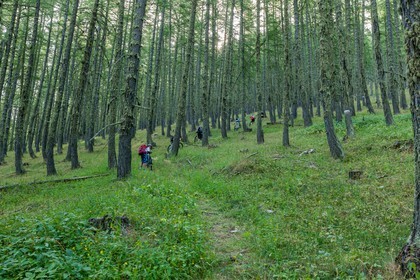 Rando Vtt Lacs de Lignin