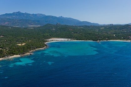 Figari