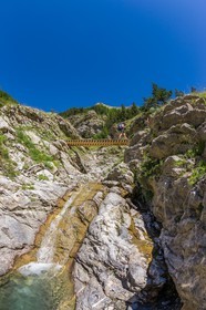 Allos