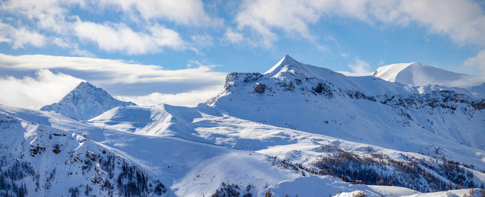 Auron