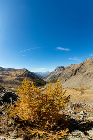 Col de la Moutière