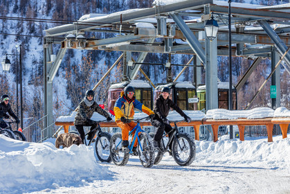 Fat Bike