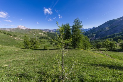 Col d'Allos
