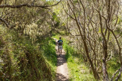 Ile de La Réunion