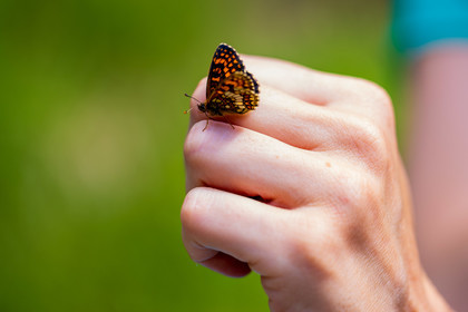 France, Alpes-de-Haute-Provence, Val d'Allos
