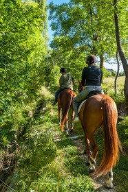 Equitation