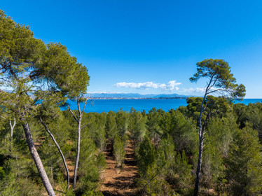 Lérins Sainte-Marguerite 2024