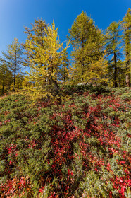 Col de la Moutière