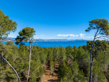 Lérins Sainte-Marguerite 2024