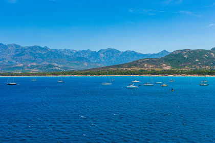 Calvi