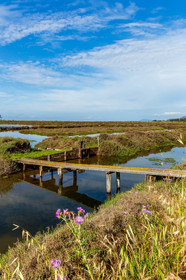 Salins d'Hyères