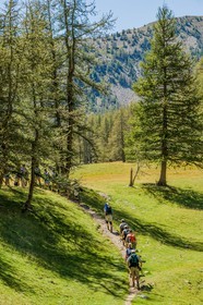 Col de la Petite Cayolle