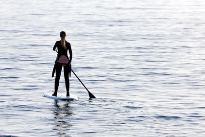Paddle