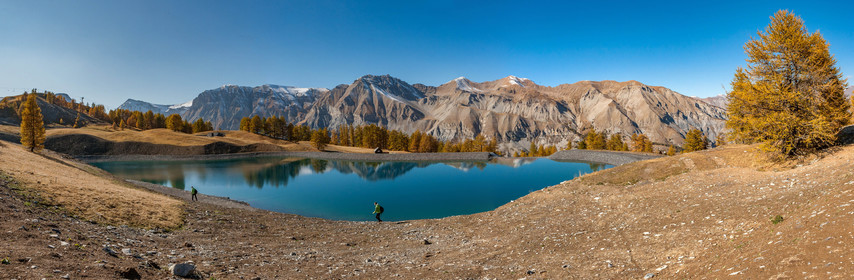 Auron