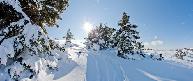 Paysage d'hiver