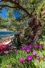 Plage de Fabrégas