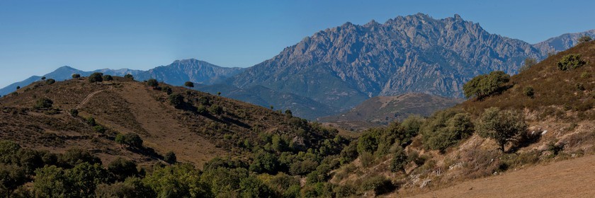 Popolasca