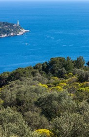Cap Ferrat