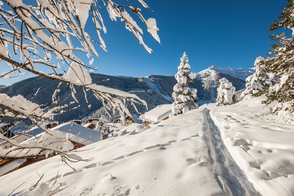 Auron