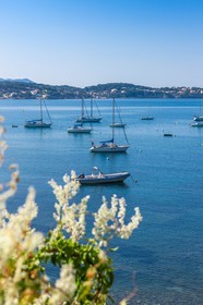 Bandol