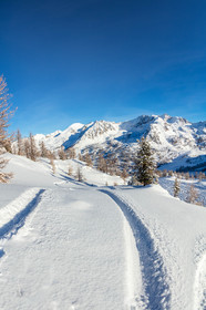 Isola 2000