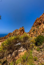 Calanche