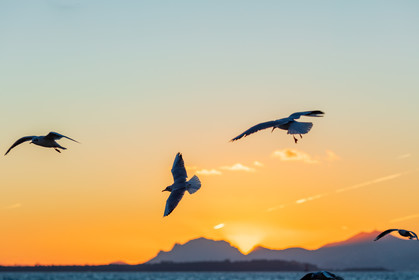 Cap d'Antibes