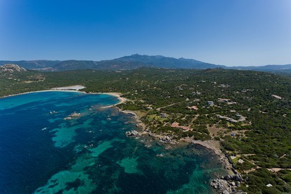 Figari