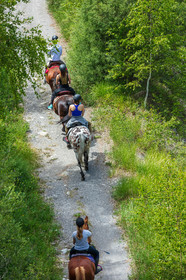 Equitation
