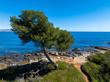 Lérins Sainte-Marguerite 2024