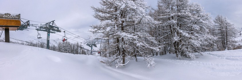 Auron