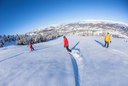 Snowboard