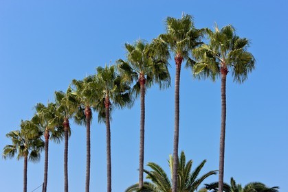 Cannes