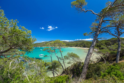 Porquerolles