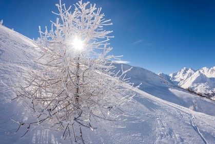 La Foux d'Allos