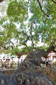 Porto Vecchio