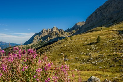 Col des Champs
