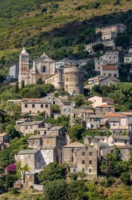 Rogliano