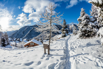 Auron