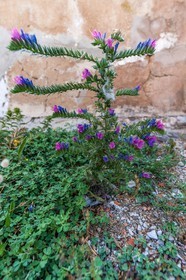 Six-Fours-les-Plages