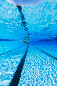 Natation