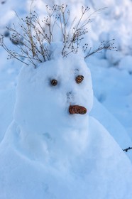 Bonhomme de neige