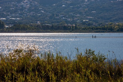 Biguglia