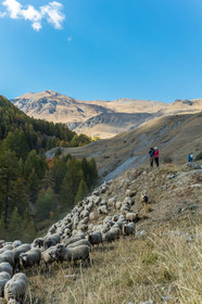 Col de la Bonette