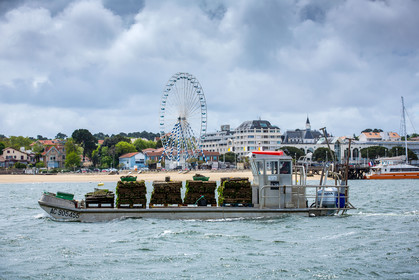 Arcachon