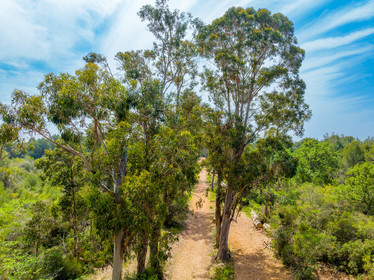 Lérins Sainte-Marguerite