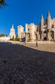 Avignon